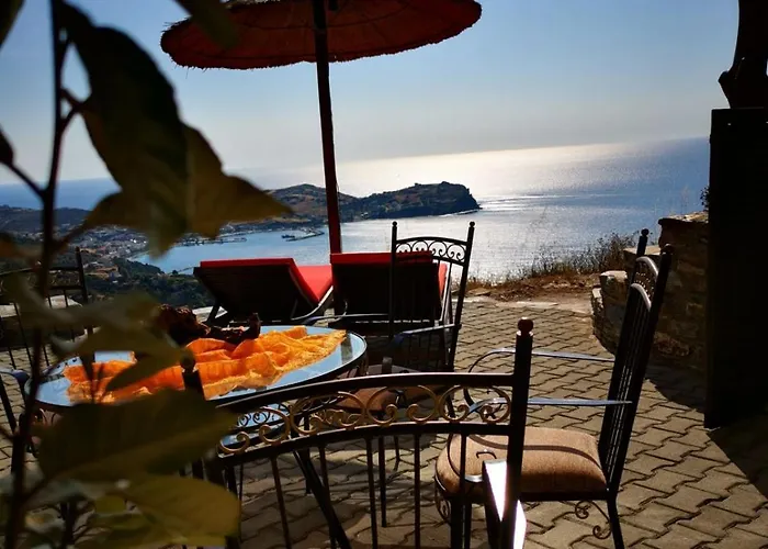 Casa Romantica Petriai